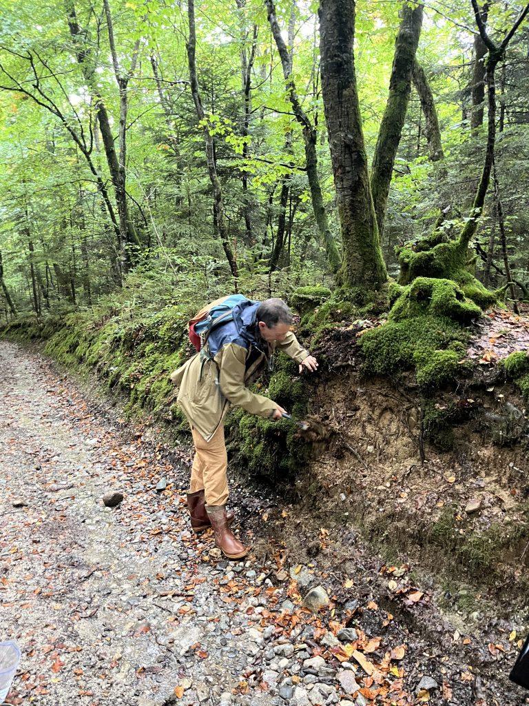 2025-09-22_VisiteSol_BoisLar_JMDORIOZ