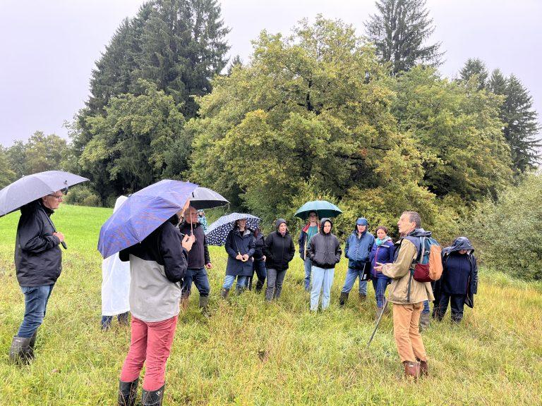 2025-09-22_VisiteSol_maravant