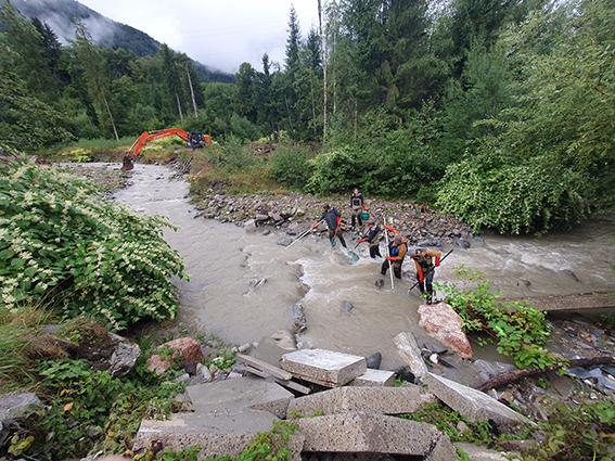pêche de sauvegarde / Dranse de Morzine - Bochard