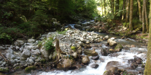 Image4 Image4