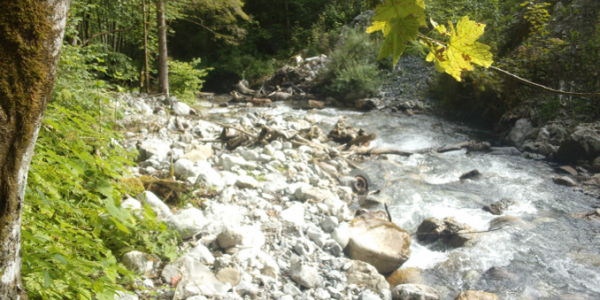 Image5 Image5