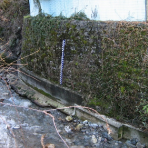 Image9 Image9